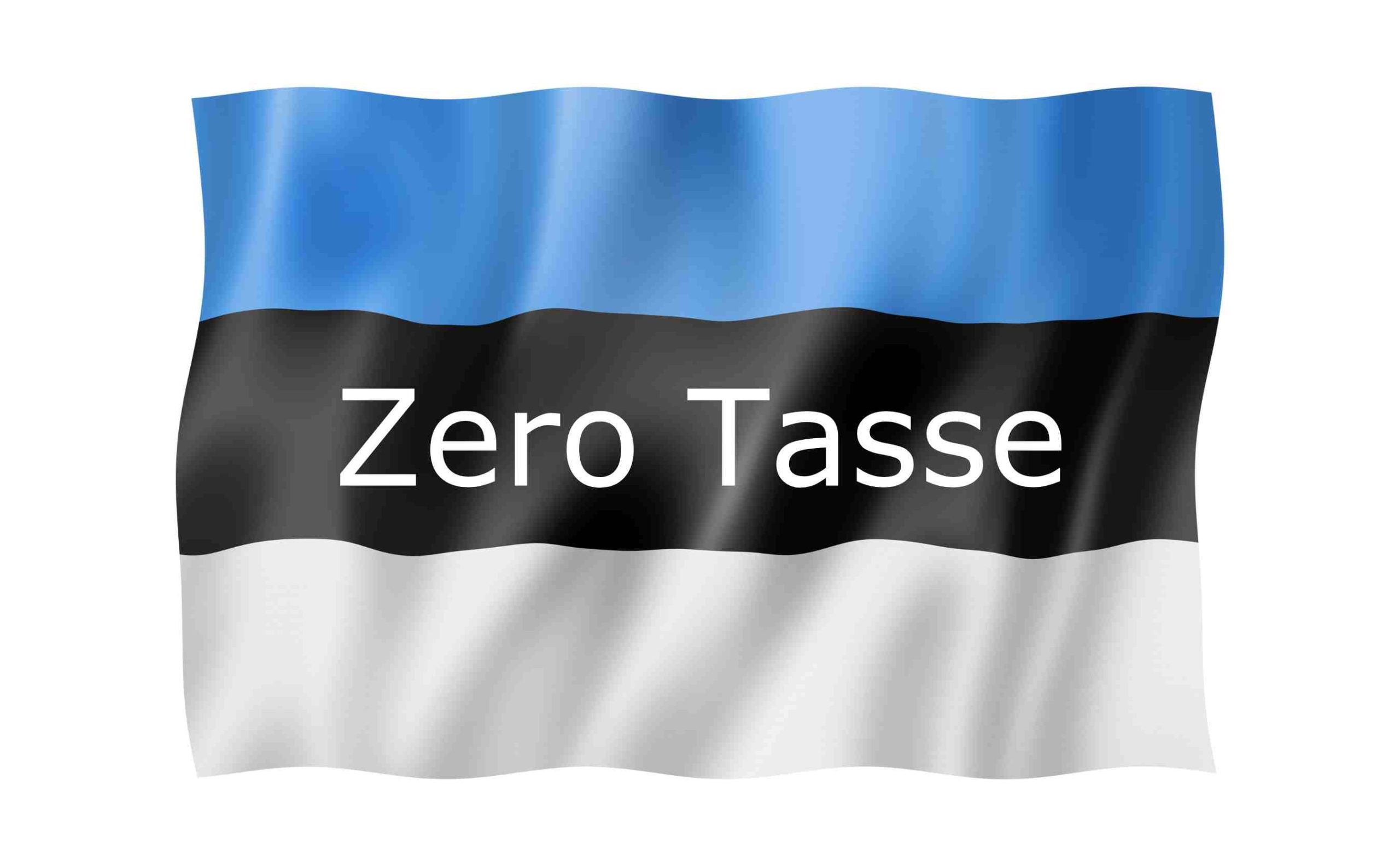 sistema fiscale Estonia